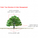 Cutting Roots(뿌리 자르기) : 위기의 나무 관리법