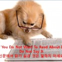 비보도(Off-the-Record)